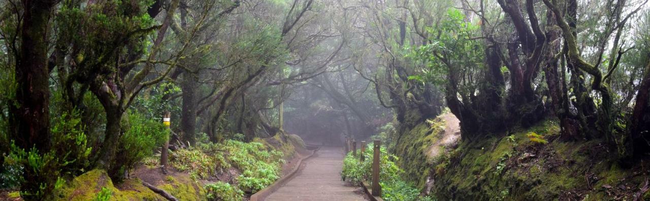 Apt El Perenquen Santa Cruz de Tenerife Dış mekan fotoğraf